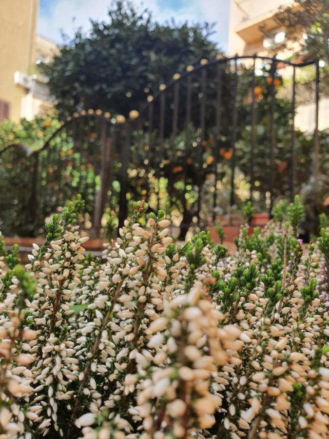 Villa Goethe アグリジェント エクステリア 写真